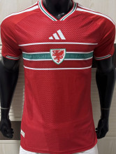 2026/27 Wales Home Red Player Version Soccer Jersey