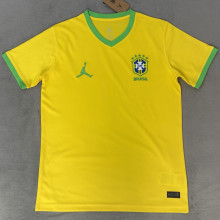 2026/27 Brazil Special Edition Fans Soccer Jersey