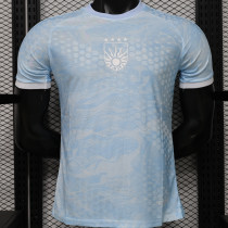 2026/27 Uruguay Special Edition Player Version Soccer Jersey