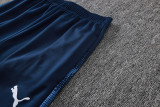 2026/27 Puma Blue Sweater Tracksuit