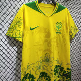 2026/27 Brazil Special Edition Fans Soccer Jersey