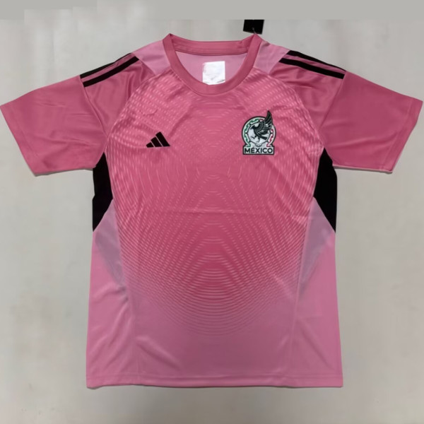 2026/27 Mexico Goalkeeper Pink Fans Soccer Jersey