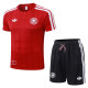 2026/27 Germany Red Training Jersey (A Set)