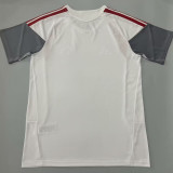 2026/27 Internacional White Fans Training Jersey