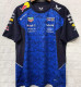 2026 Red Bull Racing F1 Team T-Shirt  圆领
