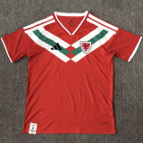 2026/27 Wales Special Edition Fans Soccer Jersey