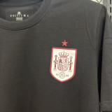 2026/27 Spain Black Casual Pure Cotton T-Shirt   T293