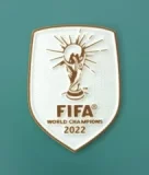 Argentina Authentic Soccer Jersey Special Edition Shirt World Cup 2026