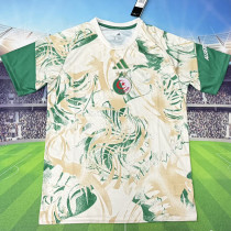 2026/27 Algeria Special Edition Fans Soccer Jersey