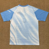 2026/27 Argentina Special Edition Fans Soccer Jersey