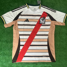 2026/27 Mexico Special Edition Fans Soccer Jersey
