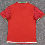 2026/27 Iran Away Red Player Version Soccer Jersey