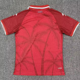 2026/27 Haiti Third Red Player Version Soccer Jersey   海地
