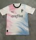Palmeiras Special Edition fans 1:1 Quality Soccer Jersey    23-24