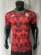 Morocco Home Player 1:1 Quality Soccer Jersey  23-24