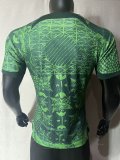 Nigeria Home   Player  1:1 Quality Soccer Jersey  23-24