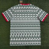 Nigeria Special Edition fans  1:1 Quality Soccer Jersey  23-24