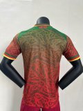 Cameroon Special Edition   Player  1:1 Quality Soccer Jersey  24-25