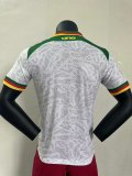 Cameroon Special Edition   Player  1:1 Quality Soccer Jersey  24-25