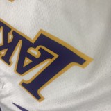 NBA Laker retro white V-collar No.0 Nick Young with chip  1:1