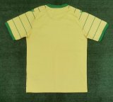 Nante Memorial Edition Fans 1:1 Quality Soccer Jersey  23-24