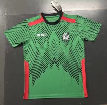 Mexico Training clothing green Fans  1:1 Quality Soccer Jersey   23-24