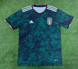 Italy Green Special Edition  Fans 1:1 Quality Soccer Jersey  23-24