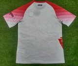 Napoli   Valentine's Edition   Fans 1:1 Quality Soccer Jersey   23-24