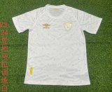 Celtic Special Edition  Fans 1:1 Quality Soccer Jersey  23-24