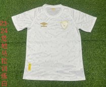 Celtic Special Edition  Fans 1:1 Quality Soccer Jersey  23-24