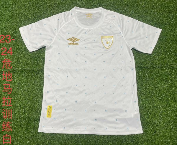 Celtic Special Edition  Fans 1:1 Quality Soccer Jersey  23-24