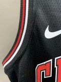 NBA Bulls Rose No.1  1:1