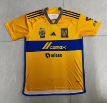 Tiger Home Fans 1:1 Quality Soccer Jersey  23-24