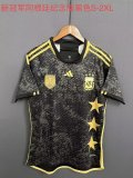 Argentina Commemorative funds Fans 3 Stars  1:1 Quality Soccer Jersey   23-24