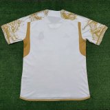 Real Madrid Special Edition  Fans  1:1 Quality Soccer Jersey    23-24