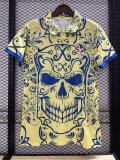 Club América  Special Edition Fans  1:1 Quality Soccer Jersey   23-24