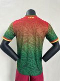 Cameroon Special Edition   Player  1:1 Quality Soccer Jersey  24-25