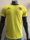Colombia Home  Player   1：1  2020 2021