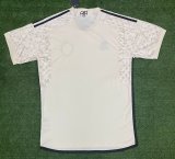Roma Away Fans 1:1 Quality Soccer Jersey  23-24