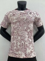 Mexico Away    Player  1:1 Quality Soccer Jersey  22-23