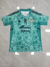 Tiger goalkeeper  Fans 1:1 Quality Soccer Jersey  22-23