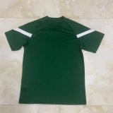 Palmeiras Training clothing green fans 1:1 Quality Soccer Jersey    23-24