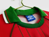 Retro Wales Home  1994 1996   1:1 Quality Soccer Jersey