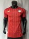 Egypt Home Player  1:1 Quality Soccer Jersey  23-24