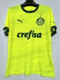 Palmeiras Third  Away  Fans 1:1 Quality Soccer Jersey    23-24