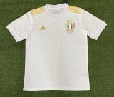 Italy 125th Anniversary Edition Fans 1:1 Quality Soccer Jersey  23-24