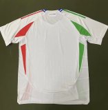 Italy Away  Fans 1:1 Quality Soccer Jersey  24-25