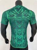 Mexico Special Edition  Player  1:1 Quality Soccer Jersey  23-24