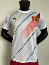 Guinea  Home fans 1:1 Quality Soccer Jersey  24-25