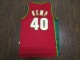 NBA Retro supersonic 40 Sean camp red green edge